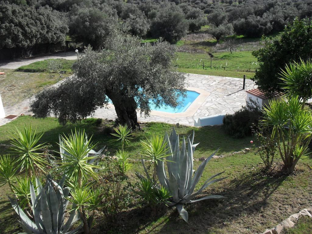 Vila Casa De Campo Quinta Sao Jorge Reguengos de Monsaraz Exteriér fotografie