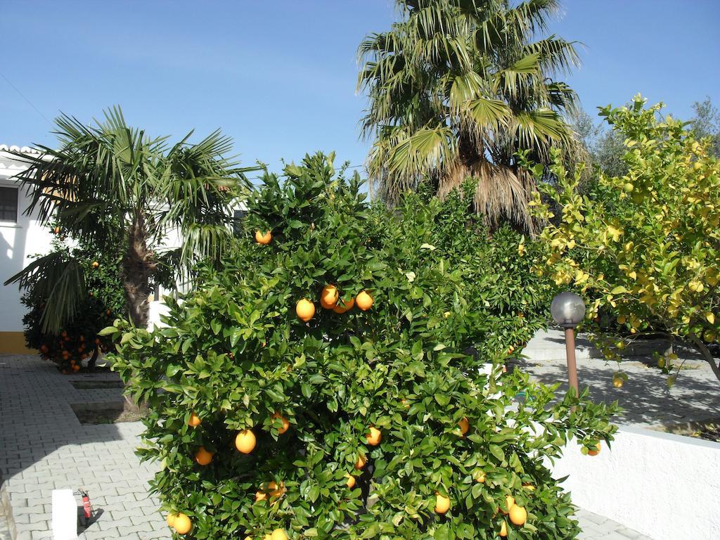 Vila Casa De Campo Quinta Sao Jorge Reguengos de Monsaraz Exteriér fotografie